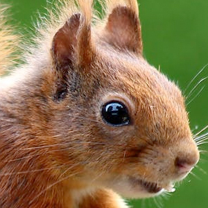 趣闲赚苹果版下载 趣闲赚app苹果版