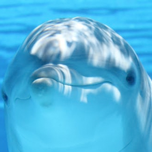 十大悬赏任务平台下载