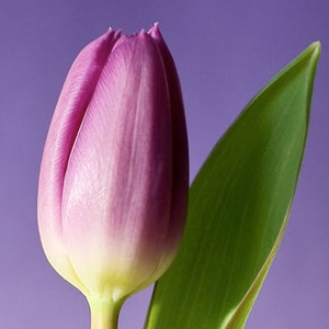 十大悬赏任务平台排行榜(悬赏任务赚钱app)